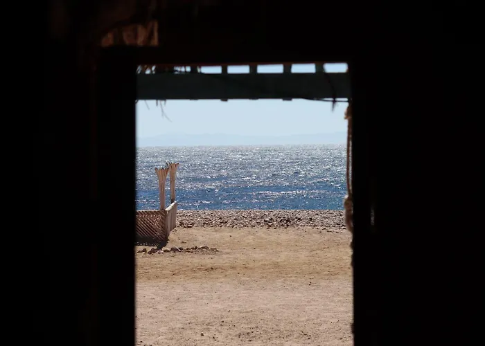 Wasla Camp - Abu Galoum *
