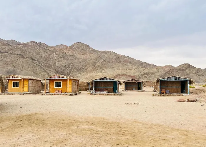 Wasla Camp - Abu Galoum Деревянный коттедж
