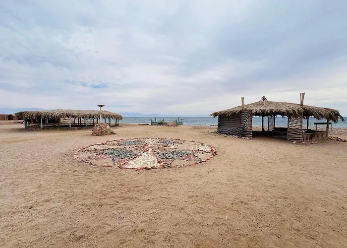 Wasla Camp - Abu Galoum *